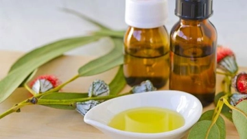 Okaliptus Yağı Faydaları Nelerdir?